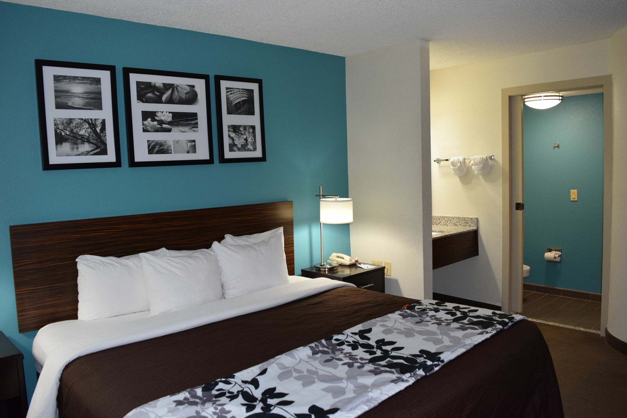 Clarion Inn & Suites Dfw North Irving Exterior photo